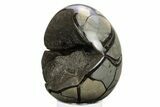 Septarian Dragon Egg Geode - Black Crystals #241116-2